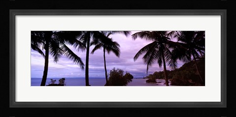 Framed Palm trees on the coast, Colombia (purple sky with clouds) Print