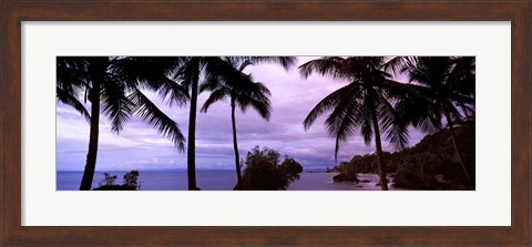 Framed Palm trees on the coast, Colombia (purple sky with clouds) Print