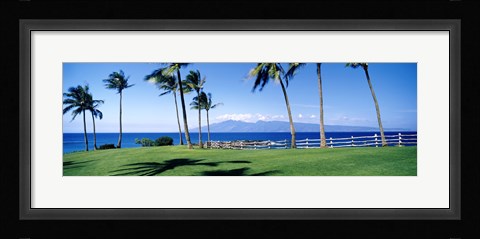Framed Palm trees at the coast, Ritz Carlton Hotel, Kapalua, Molokai, Maui, Hawaii, USA Print