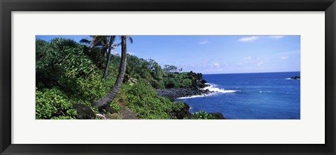 Framed Palm trees with plants growing at a coast, Black Sand Beach, Hana Highway, Waianapanapa State Park, Maui, Hawaii, USA Print