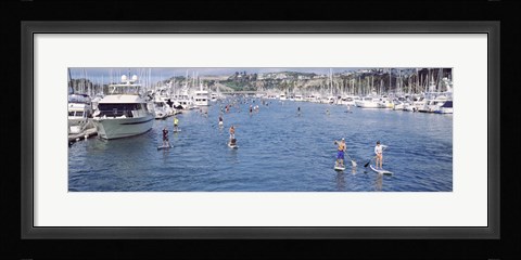 Framed Paddleboarders and yachts, Dana Point, California Print