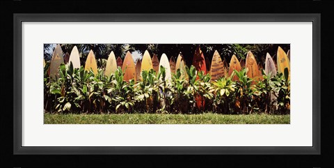 Framed Surfboard fence in a garden, Maui, Hawaii, USA Print