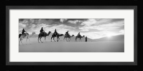Framed Tourists riding camels through the Sahara Desert landscape led by a Berber man, Morocco (black and white) Print
