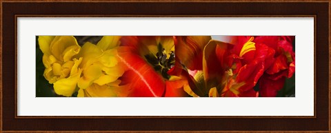 Framed Close-up of Tulips Print