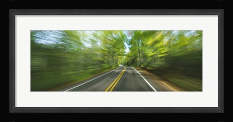 Framed Treelined road viewed from a moving vehicle Print
