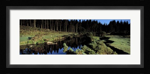 Framed River flowing through a forest, East Dart River, Dartmoor, Devon, England Print