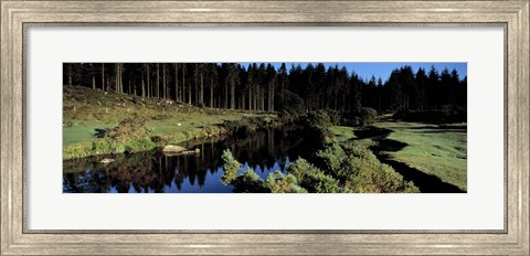 Framed River flowing through a forest, East Dart River, Dartmoor, Devon, England Print