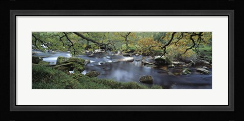 Framed River flowing through a forest, West Dart River, Dartmeet, Devon, England Print