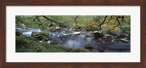 Framed River flowing through a forest, West Dart River, Dartmeet, Devon, England Print
