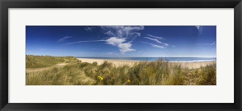 Framed Marram Grass, dunes and beach, Winterton-on-Sea, Norfolk, England Print
