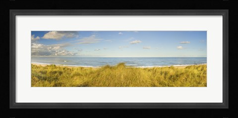 Framed Grass on the beach, Horsey Beach, Norfolk, England Print