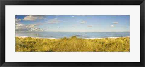 Framed Grass on the beach, Horsey Beach, Norfolk, England Print