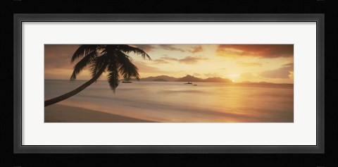 Framed Silhouette of a palm tree on the beach at sunset, La Digue Island, Praslin Island, Seychelles Print