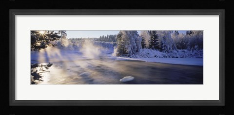 Framed Snow covered laden trees, Dal River, Sweden Print
