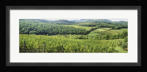 Framed Vineyards in Chianti Region, Tuscany, Italy Print