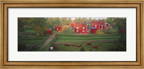 Framed Traditional red farm houses and barns at village, Stensjoby, Smaland, Sweden Print