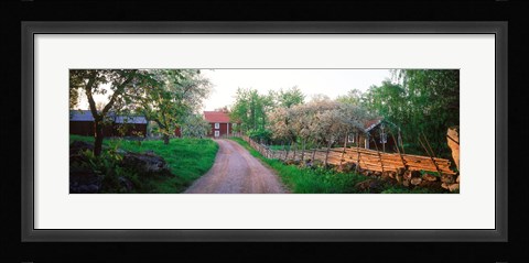 Framed Dirt road leading to farmhouses, Stensjoby, Smaland, Sweden Print