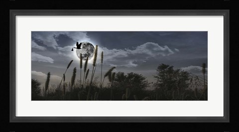 Framed Stork flying with baby in beak over moon Print