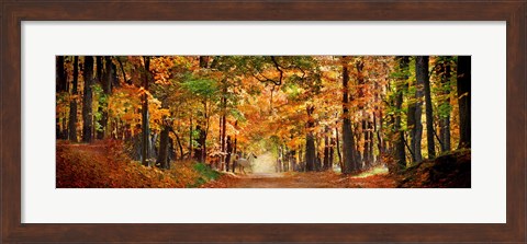 Framed Horse running across road in fall colors Print