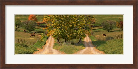 Framed Two dirt roads passing through farms in autumn Print