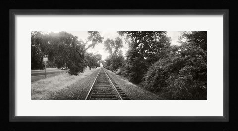 Framed Railroad track, Napa Valley, California, USA Print