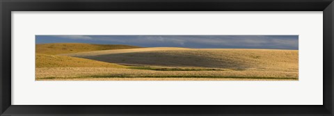 Framed Wheat field, Palouse, Washington State, USA Print