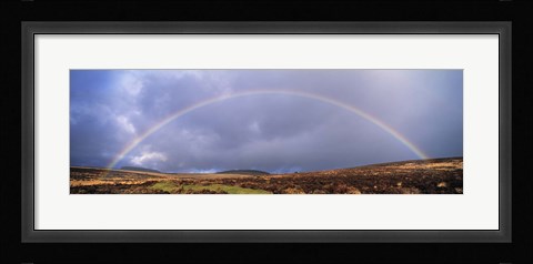 Framed Rainbow above Fernworthy Forest, Dartmoor, Devon, England Print