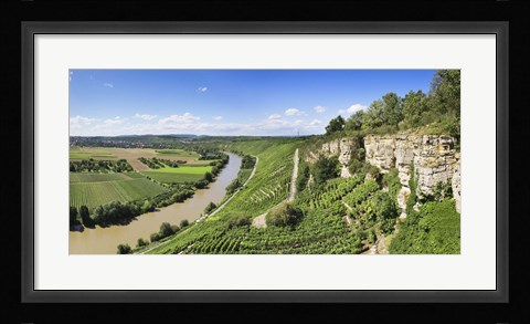 Framed High angle view of vineyards, Neckar River, Hessigheim, Baden-Wurttemberg, Germany Print