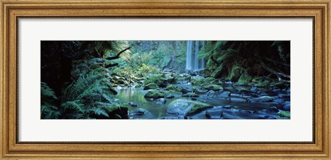 Framed Waterfall in a forest, Hopetown Falls, Great Ocean Road, Otway Ranges National Park, Victoria, Australia Print