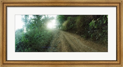 Framed Dirt road through a forest, Chiang Mai Province, Thailand Print