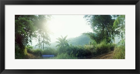 Framed Man with a slingshot in a forest, Chiang Mai, Thailand Print