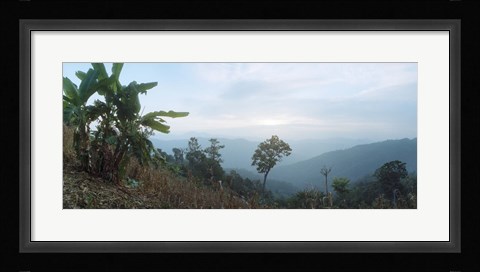 Framed Trees on a hill, Chiang Mai, Thailand Print
