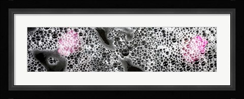 Framed Bubbles and pink flower petals Print