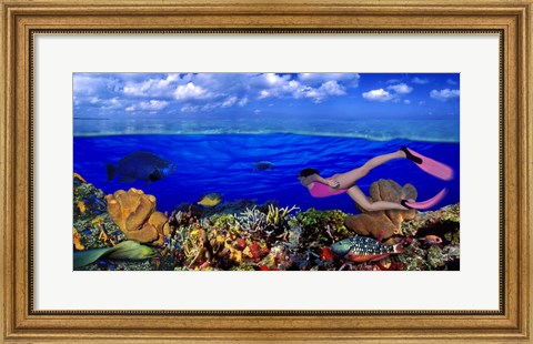 Framed Diver along reef with parrotfish, Green Moray Eel and White Spotted Filefish (Cantherhines macrocerus) underwater Print