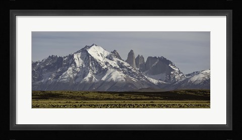 Framed Field with snowcapped mountains, Paine Massif, Torres del Paine National Park, Magallanes Region, Patagonia, Chile Print