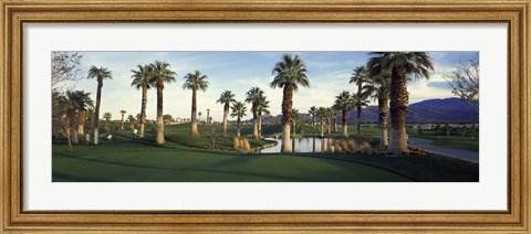 Framed Palm trees in a golf course, Desert Springs Golf Course, Palm Springs, Riverside County, California, USA Print