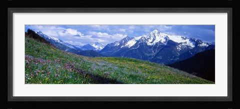 Framed Wildflowers Along Mountainside, Zillertaler, Austria Print