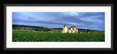 Framed Grand Cru Vineyard, Burgundy, France Print