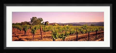 Framed Sattui Winery, Napa Valley, California, USA Print