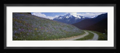 Framed Road Through Hillside, Zillertaler, Austria Print