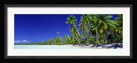 Framed Beach With Palm Trees, Bora Bora, Tahiti Print