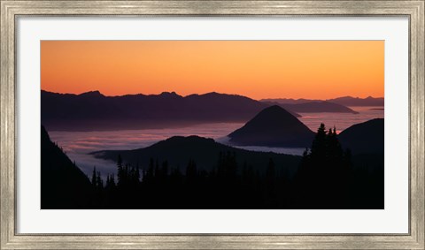 Framed Mount Rainier National Park, Washington Print