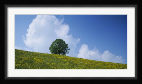Framed Green Hill w/ flowers &amp; tree Canton Zug Switzerland Print