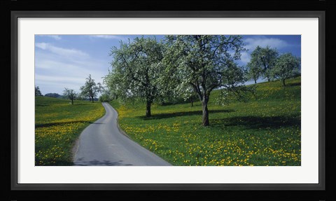 Framed Spring in Zug, Switzerland Print