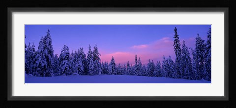 Framed Forest In Winter, Dalarna, Sweden Print