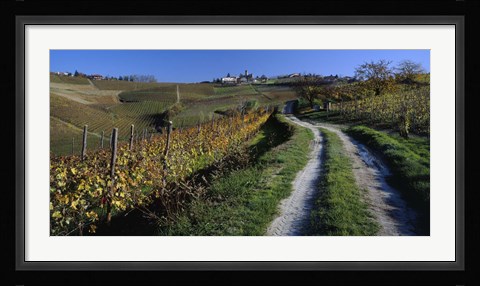 Framed Italy, Piemont, road Print