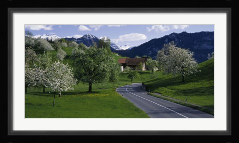 Framed Switzerland, Luzern, trees, road Print