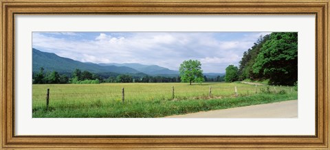 Framed Road Along A Grass Field, Cades Cove, Great Smoky Mountains National Park, Tennessee, USA Print