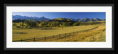 Framed Trees in a field, Colorado, USA Print