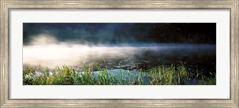 Framed Morning fog Acadia National Park ME USA Print